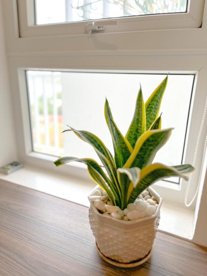 Quangvinhhomestay 붕타우 외부 사진